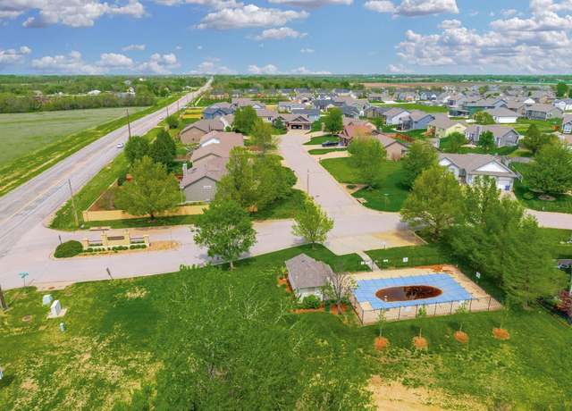 Bolden’s Painting|Maize