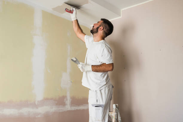 House Painting