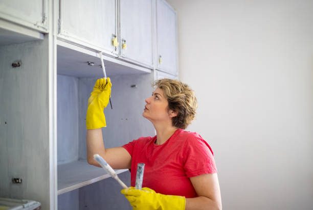 Two-Tone Painted Kitchen